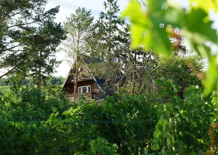Vacationhome In The Vineyards بيت للعطل
